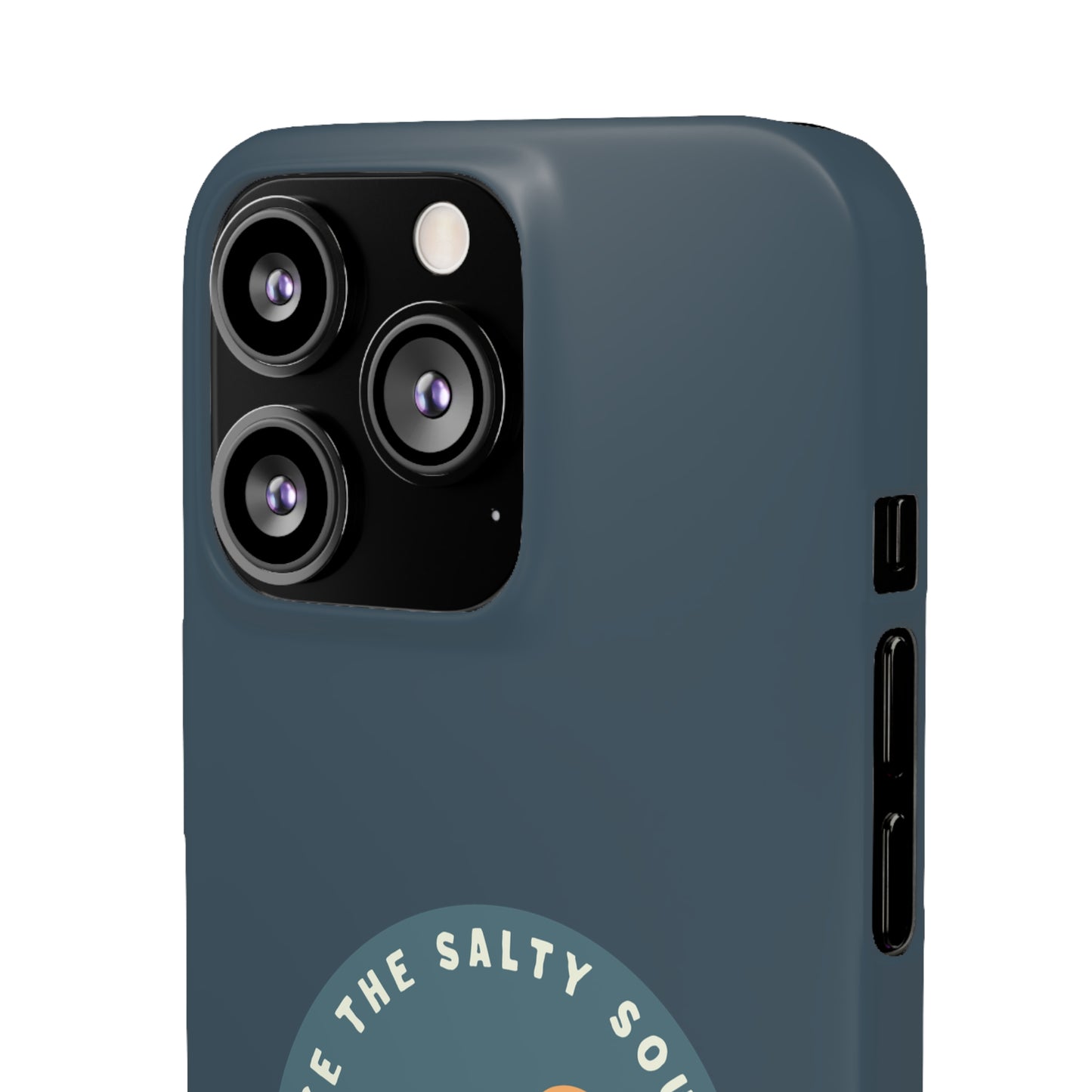 The Heron Pacific Blue - Snap Cases